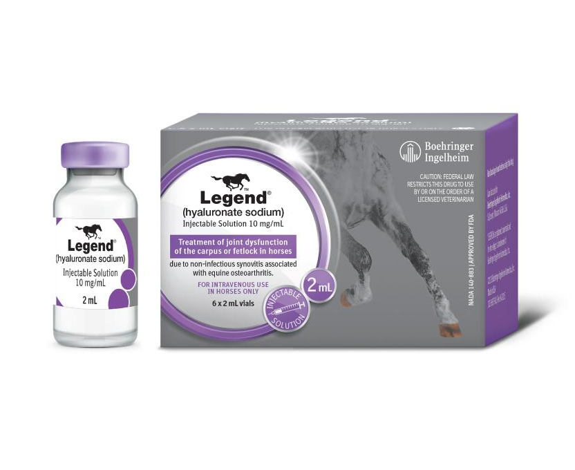 Legend injection for horses