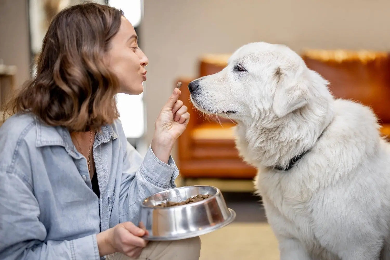 Top Dog Food Options: Discover the Healthiest Options for Your Dog