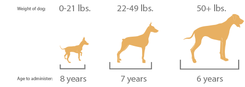 Senilife XL for Elderly Dogs
