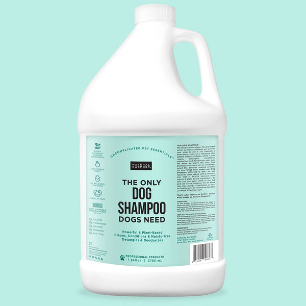 Natural Rapport The Only Dog Shampoo Dogs Need gallon 