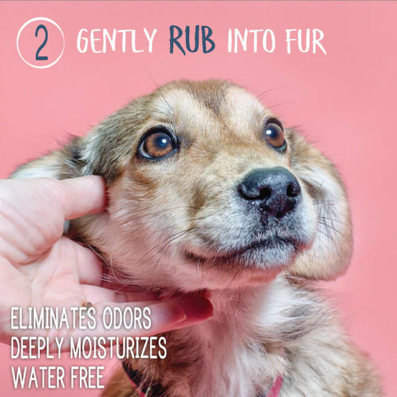 Adore Pet Waterless Shampoo for Dogs & Cats - 8-oz