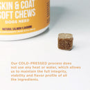 Natural Rapport The Only Skin & Coat Soft Chews Dogs Need Skin & Coat Supplement