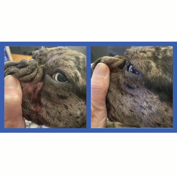 This anti-bacterial and antifungal paste forms a natural, water-repellant barrier using soothing coconut oil and zinc oxide