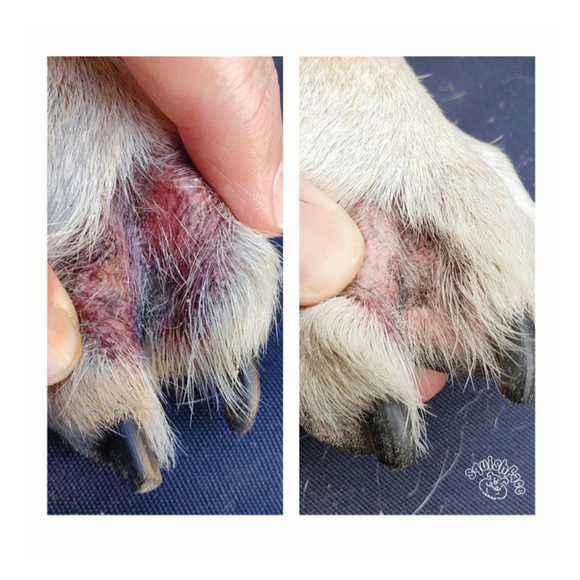 wrinkle paste, tear stain creams, and other topical products directly into skin folds