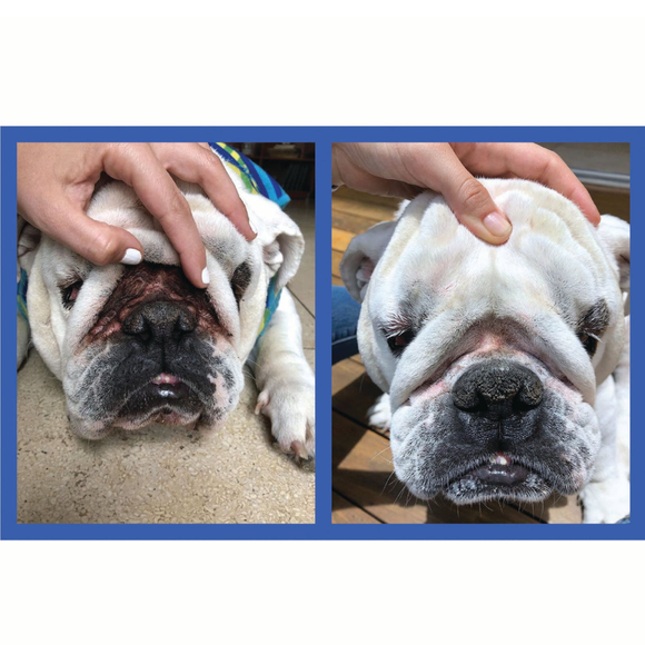 llow the paste to remain on the treated area for a full twenty four hours