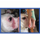 First clean the area of debris or wrinkle goo thoroughly using a wrinkle wipe