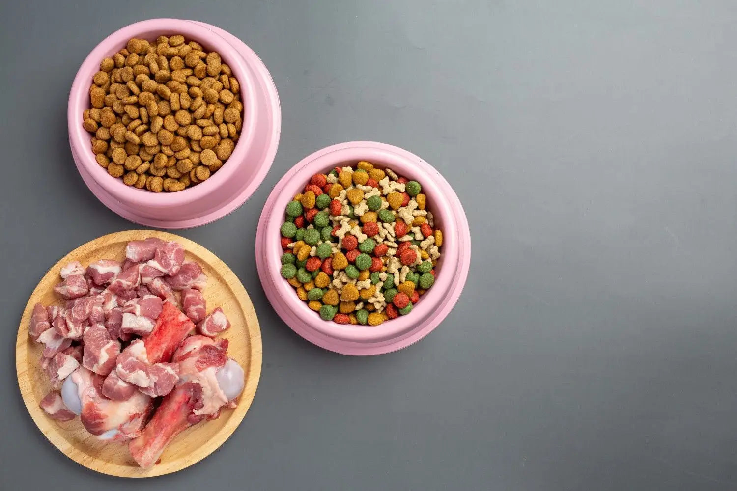 Top Dog Food Options: Discover the Healthiest Options for Your Dog