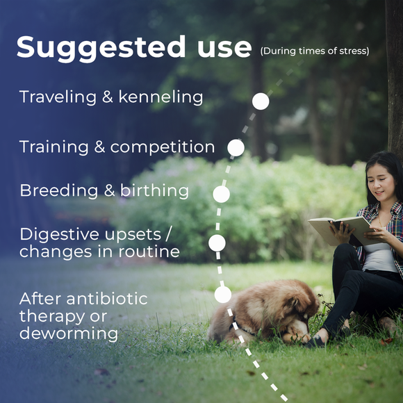 Pet Scholars Probiotic Oral Gel for Dogs & Cats, 30 cc