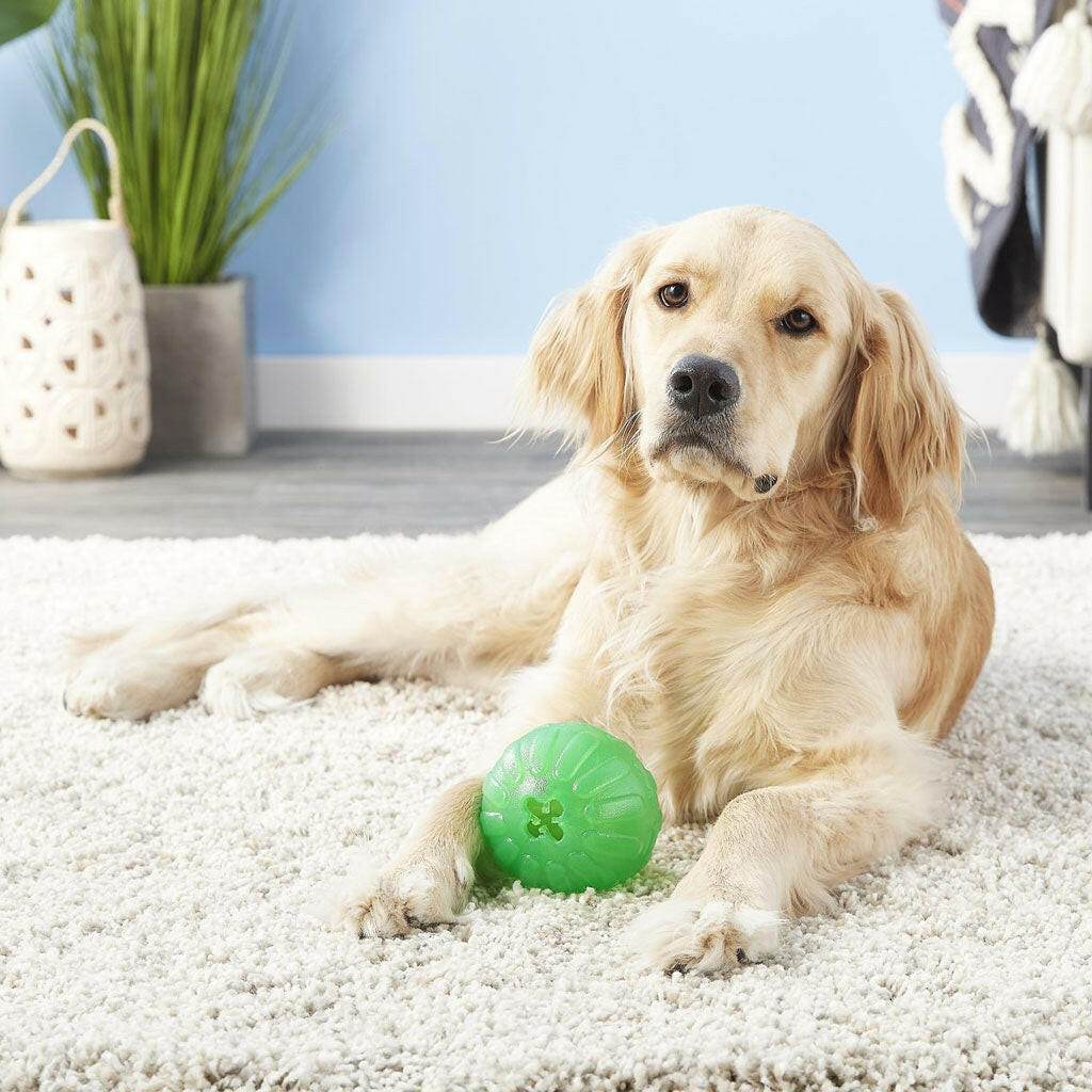 Starmark Treat Dispensing Chew Ball Tough Dog Toy large dog with toy