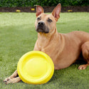 Starmark Easy Glide DuraFoam Flying Disc Dog Toy 11" with dog