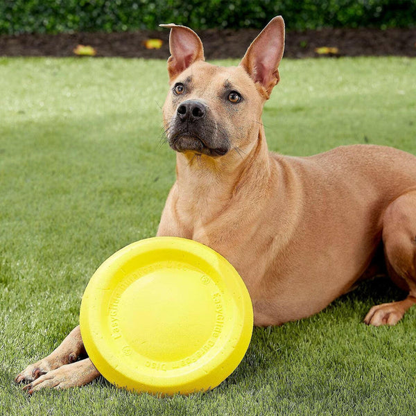 Starmark Easy Glide DuraFoam Flying Disc Dog Toy 11" with dog