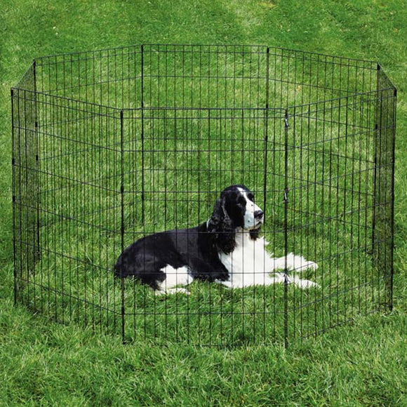 Dog inside a black metal playpen on grass