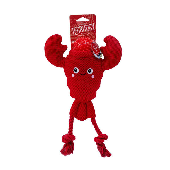 Territory 2-in-1 Floating Dog Toy - Lobster - Dog Toys 1