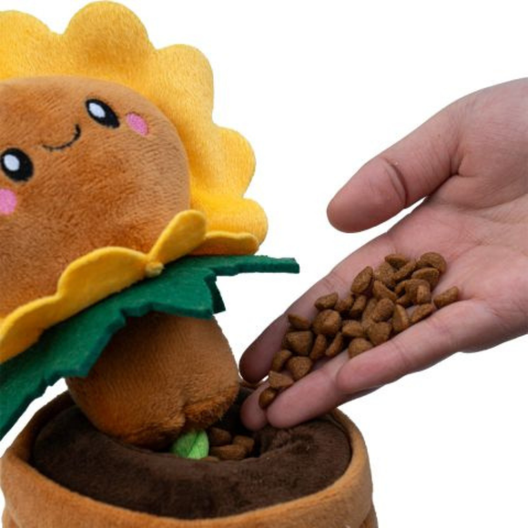 Territory Treat-and-Tug Dog Toy - Dog Toys 12