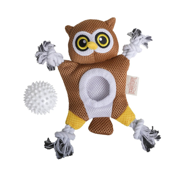 Territory 2-in-1 Fetch & Tug Dog Toy - Dog Toys 7