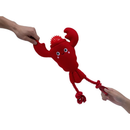 Territory 2-in-1 Floating Dog Toy - Dog Toys 5