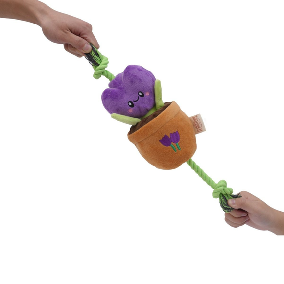 Territory Treat-and-Tug Dog Toy - Dog Toys 21