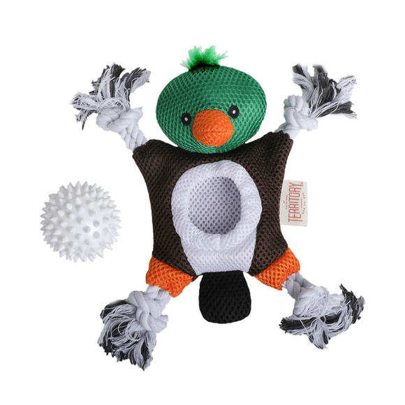 Territory 2-in-1 Fetch & Tug Dog Toy - Dog Toys 15