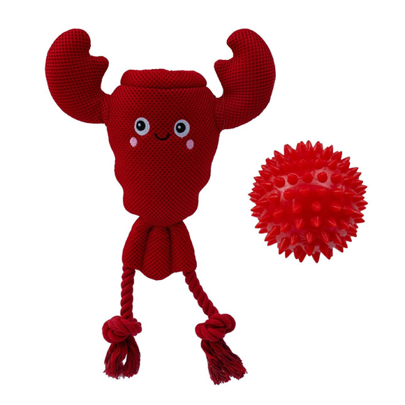 Territory 2-in-1 Floating Dog Toy - Dog Toys 4