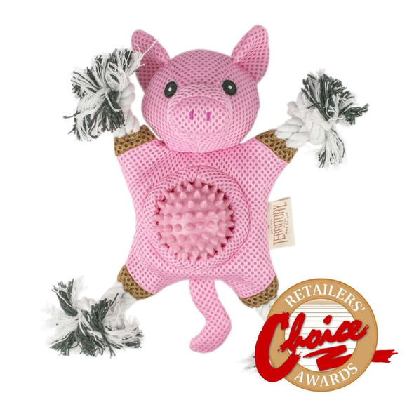 Territory 2-in-1 Fetch & Tug Dog Toy - Piggy - Dog Toys 17