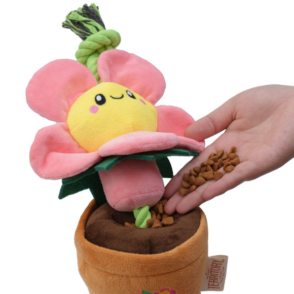 Territory Treat-and-Tug Dog Toy - Dog Toys 16