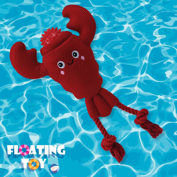 Territory 2-in-1 Floating Dog Toy - Dog Toys 6