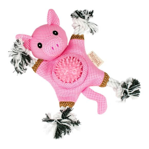 Territory 2-in-1 Fetch & Tug Dog Toy - Dog Toys 18