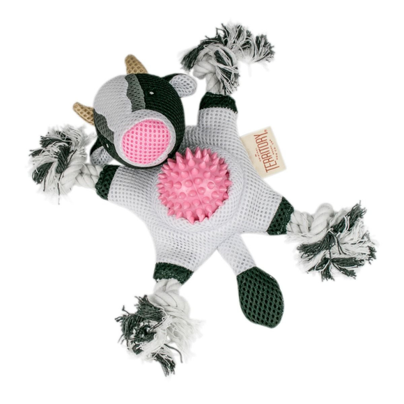 Territory 2-in-1 Fetch & Tug Dog Toy - Dog Toys 22