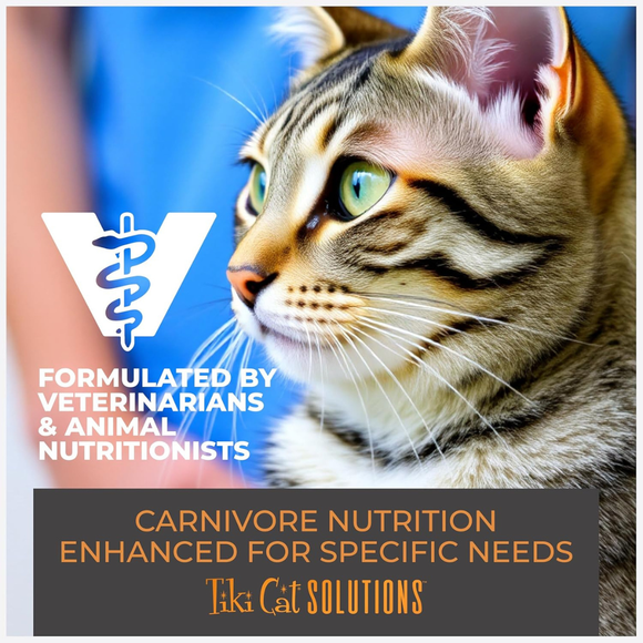 Tiki Cat Solutions Digestion Grain Free Lamb & Egg Dry Cat Food - Cat Food 7
