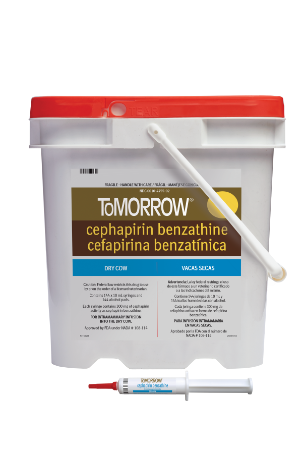 Tomorrow (Cephapirin Benzathine) Dry Cow Mastitis Treatment