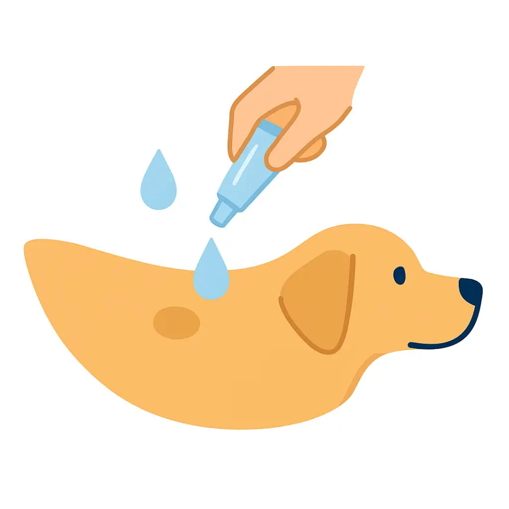 Topical treatment on dog