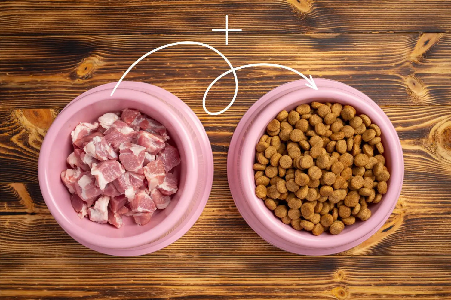Top Dog Food Options: Discover the Healthiest Options for Your Dog