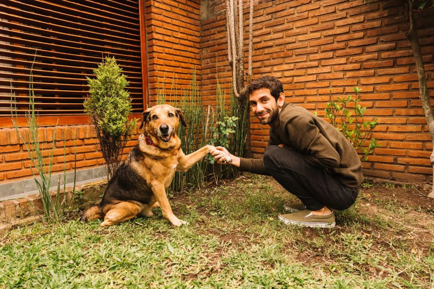 A Complete Guide to Kidney and Bladder Health in Dogs