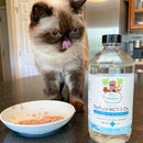 Cat standing next to a bottle of Triplex MCT-3 Oil on a kitchen counter