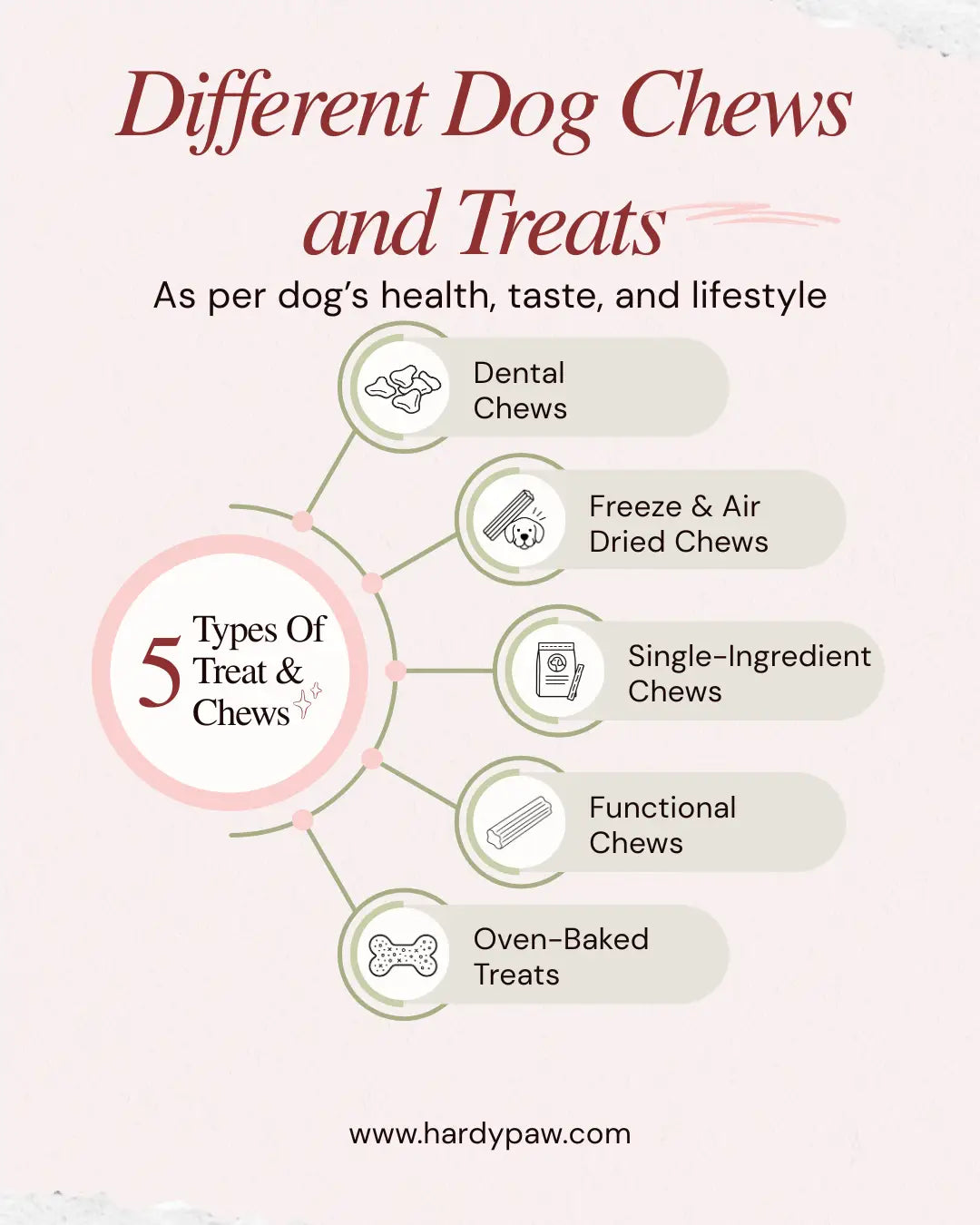 5 Types of Dog Chews & Treats
