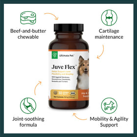 Ultimate Pet Nutrition Juve Flex Advance Hip & Joint Support for Dogs,