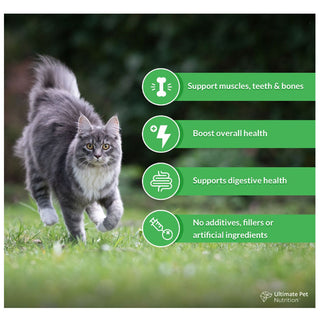 Ultimate Pet Nutrition Nutra Thrive Nutritional Supplements for Cats