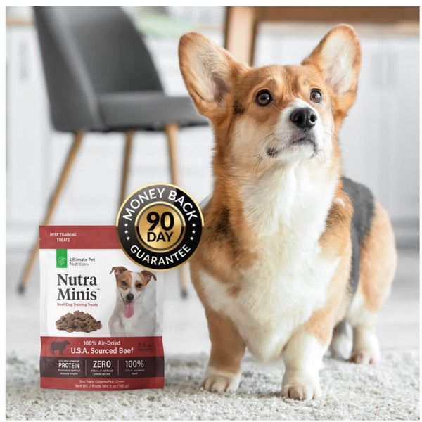 Ultimate Pet Nutrition Nutra Minis Air-Dried Beef Dog Training Treats