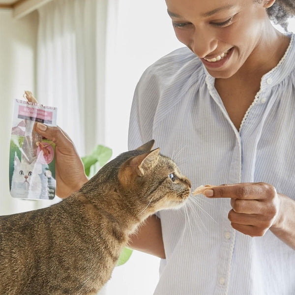 Inaba Grilled Chicken Fillet in Chicken Flavored Broth Cat Treat