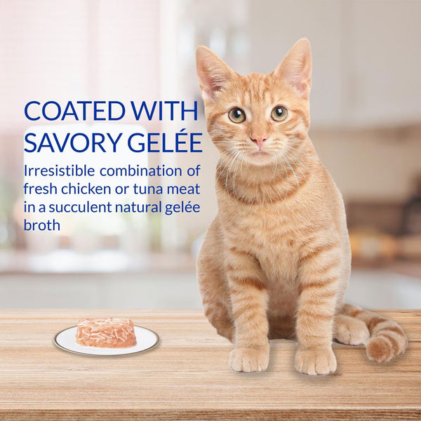 Inaba Twins Chicken Recipe Grain-Free Cat Food