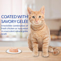 Inaba Twins Tuna & Chicken with Salmon Recipe Grain-Free Cat Food