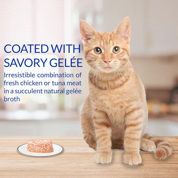 Inaba Twins Tuna & Chicken with Salmon Recipe Grain-Free Cat Food