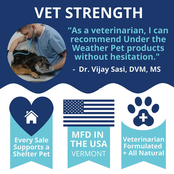 Under the Weather Ready Cal Gel High Calorie Food Supplements for Dogs, 100 cc