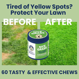 Container of Nice Grass treats with 'Before' and 'After' lawn comparison on a green background