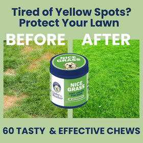 Container of Nice Grass treats with 'Before' and 'After' lawn comparison on a green background