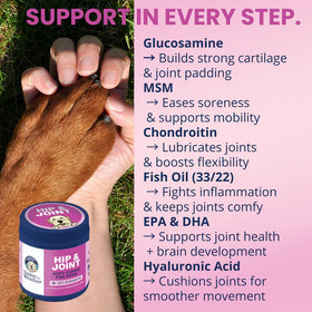 Hand holding a dog's paw with a jar of 'Hip & Joint' supplement, and text listing benefits on a pink background.