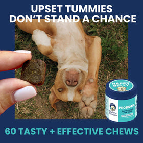 Dog lying on its back with a treat and 'Happy Belly' probiotic chews container, text about digestive health.