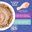 Tiki Cat Born Carnivore Hairball Control Chicken Recipe Dry Cat Food-6