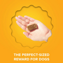 Plato Original Real Strips Turkey with Pumpkin Dog Treat Bars-7