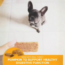 Plato Original Real Strips Turkey with Pumpkin Dog Treat Bars-6